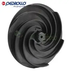 161GRDN30 - Shtytës centrifugale Pedrollo - 1
