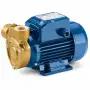 PQ 80-Bs - Pompă electrică trifazată cu rotor periferic de 1 CP