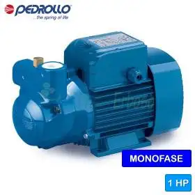 Elettropompa autoadescante CKRm 100 Pedrollo 1 HP