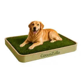 GreenZolla - Ecological litter made from real grass Prato Erboso - 1