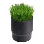 SOD CUP - Sodenhalter