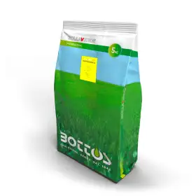 Bermudagrass Bottos 5 kg - Sementi per prato resistente