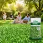 DELICATE lawn