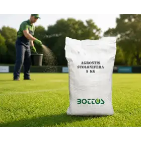 Agrostide Stolonifera Alpha - 1 kg de semences de gazon Bottos - 1