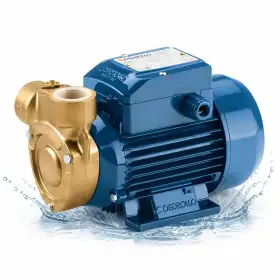 PQm 80-Bs - Bomba eléctrica monofásica de 1 HP con impulsor periférico Pedrollo - 1
