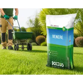 Venus - 20 kg de semillas para césped Bottos - 1