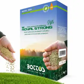 Royal Strong Plus - Semences pour gazon 1 kg