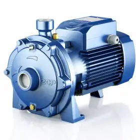 2CP 25/130 - Elettropompa centrifuga bigirante trifase da 1 HP Pedrollo - 1