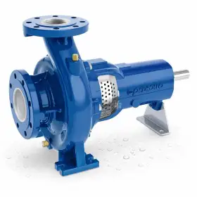 FG2-50/200AR - Standard-Kreiselpumpe mit Halterung Pedrollo - 1