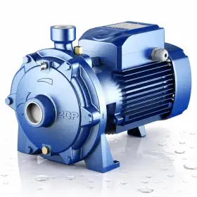 Pompe centrifuge triphasée à double turbine 2CP 32/200B - 5,5 CV Pedrollo - 1