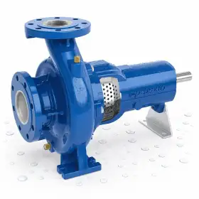 FG2-65/250B - Pompa centrifuga normalizzata con supporto Pedrollo - 1