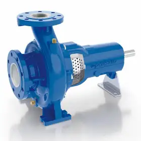 FG2-80/250B - Pompa centrifuga normalizzata con supporto Pedrollo - 1