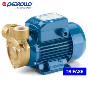 PQ 60-Bs - 0.40 HP three-phase peripheral impeller electric pump Pedrollo - 1