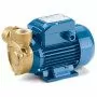 PQm 81-Bs - 0.75 HP single-phase peripheral impeller electric pump