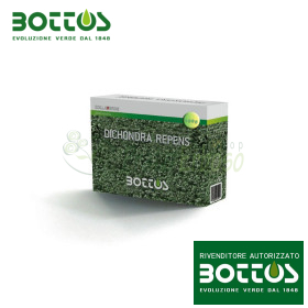 Dichondra Repens - Semillas De Césped 100g