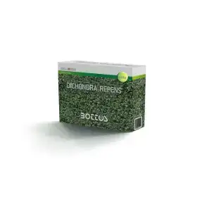 Dicondra Repens - 100g Fara për Lëndina