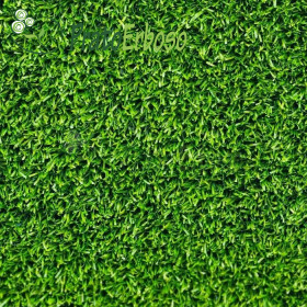 CLASSIC lawn Prato Erboso - 1