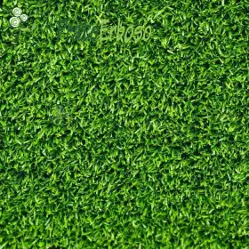 CLASSIC lawn Prato Erboso - 1