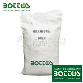 Hierba común - 10 kg de semillas de césped