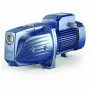 Pompe électrique auto-amorçante triphasée JSW 3CH - 1,5 CV