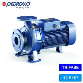 F 32/250C – 12,5 PS dreiphasige normalisierte elektrische Kreiselpumpe