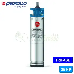 6PD/25 – 6 Zoll 25 PS Dreiphasen-Rückwickelmotor