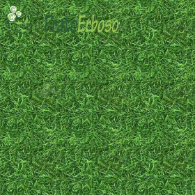 Luncă MARINĂ Prato Erboso - 1