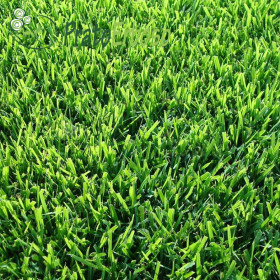 Livadh SICILIA Prato Erboso - 1