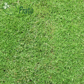 Encanto de la pradera Prato Erboso - 1