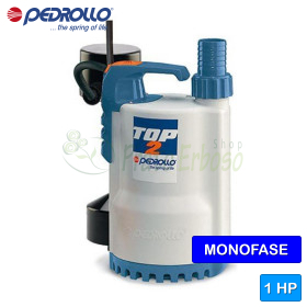 TOP 4 - GM - 1 HP Electric Drainage Pump for Clear Water Pedrollo - 1