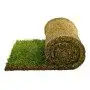 10 m2 of ready-made lawn in rolls