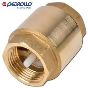 VR 1.25 - 1 1/4" check valve Pedrollo - 1