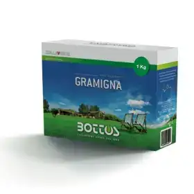 Semences de gazon pour chiendent - 1 kg