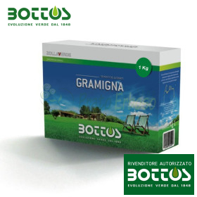 Semillas de césped tipo grama - 1 kg
