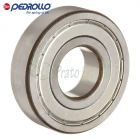 6309 ZZ-C3 - Cuscinetto a sfera 45x100x25 mm Pedrollo - 1