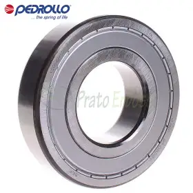 6313 ZZ-C3 - Kugellager 65x140x33 mm Pedrollo - 1