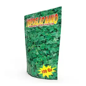 Trébol enano Repens - 100 g de semillas de césped