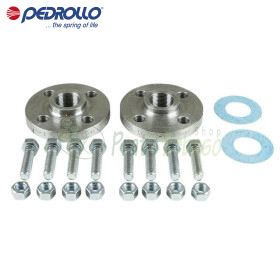 ASS14FL1000 - Flange kit DN 125 X 10