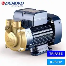 PV 65 - Elettropompa con girante periferica trifase da 0.75 HP Pedrollo - 1