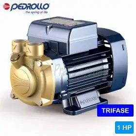 PV 70 - Elettropompa con girante periferica trifase da 1 HP Pedrollo - 1