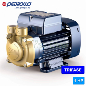 PV 70 - 1 HP three-phase peripheral impeller electric pump Pedrollo - 1