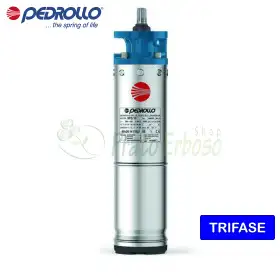 6PD/50 - Motor trifazat rebobinabil de 6" 50 CP