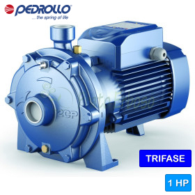 Pompë centrifugale trefazore me dy helika 2CP 25/130 - 1 HP Pedrollo - 1