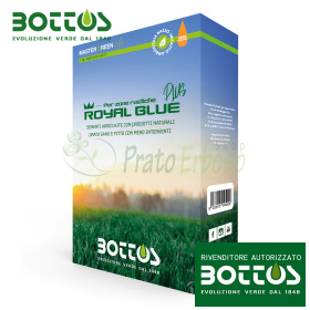 Königsblau Plus – 1 kg Rasensamen