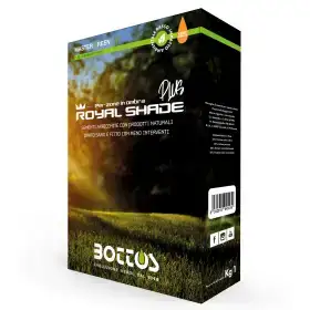 Royal Shade Plus - 1 kg Lawn Seed