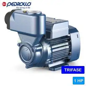 PKS 80 - Electropompa autoamorsanta cu rotor periferic trifazat de 1 HP Pedrollo - 1