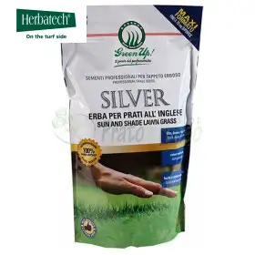 Silber - 1,2 kg Rasensamen
