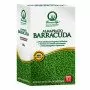 Almaprato Barracuda - Semences pour gazon 500 g