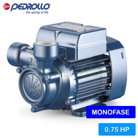 PQm 65 - Pompa electrica cu rotor periferic monofazat de 0,75 CP
