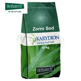 Zorro Sod - 10 kg lawn seed